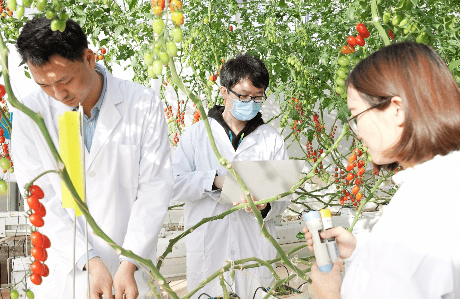 华南农业大学珠江_珠江农业大学华南校区地址_华南农业大学珠江学院百度百科