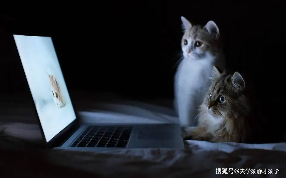原创
搞笑段子:我和女友去旅游,走到一半时,她说道:要不咱们回去吧!