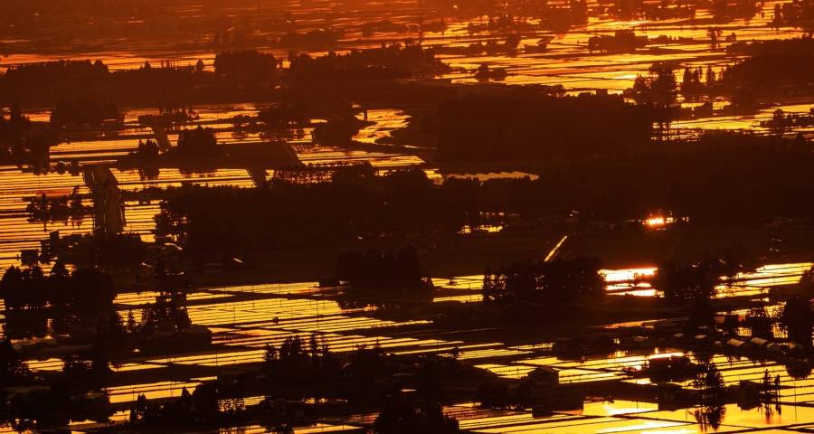 家电618大战开火,美的海尔海信美菱方太华帝老板小熊先出手-家电圈官网