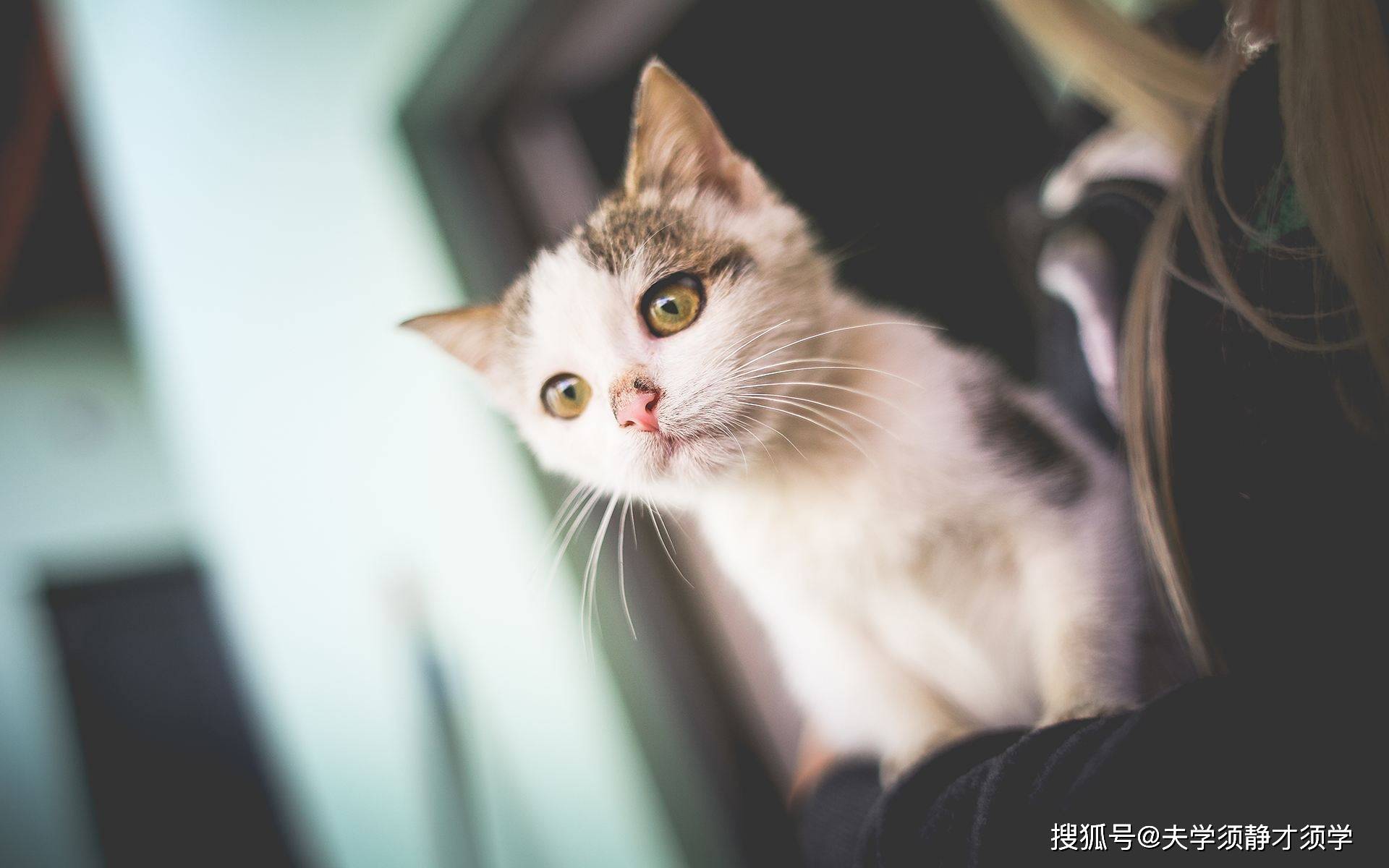 每日一笑:五一当天,媳妇问道:老公,五一你打算送我什么礼物?