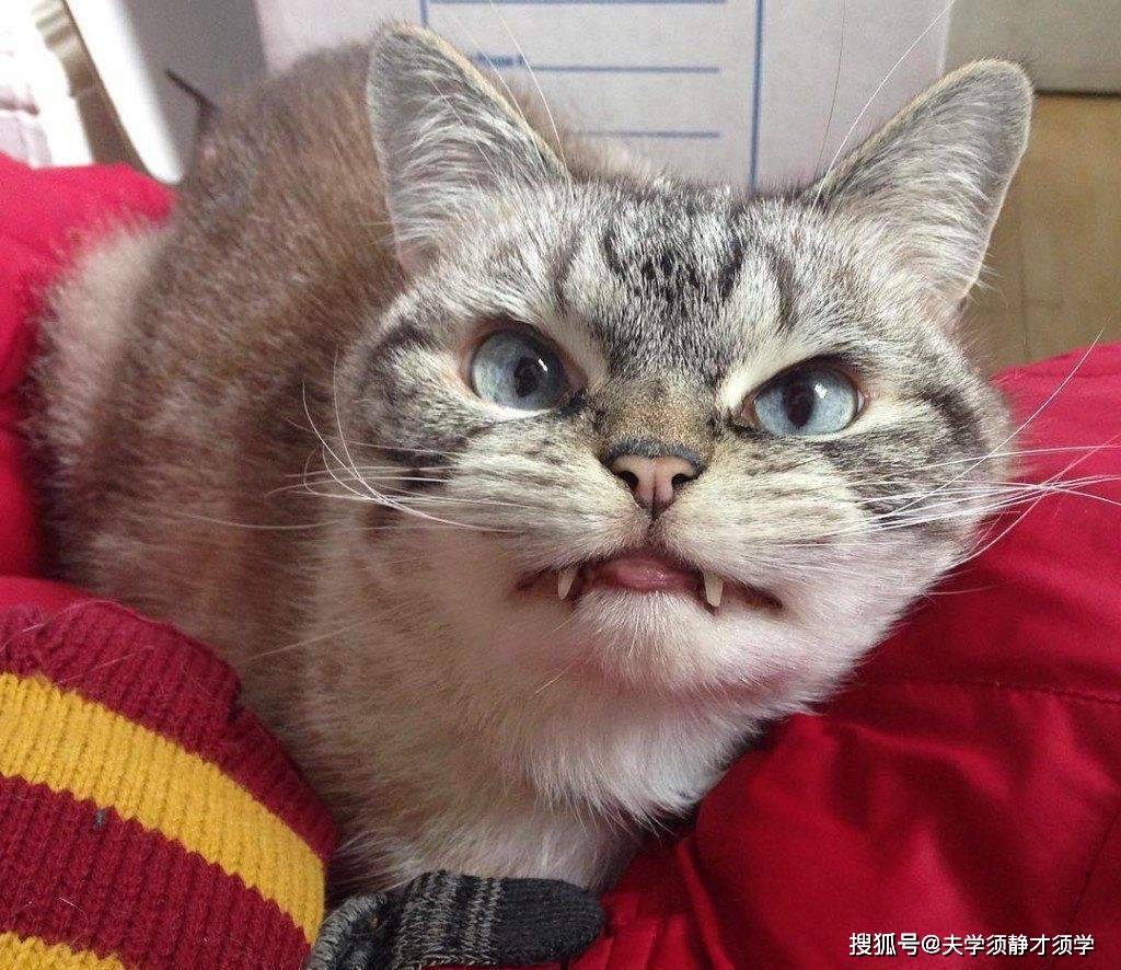 开心一刻:晚自习过后,一女生对我说道:天这么黑,要不你送我回宿舍吧!