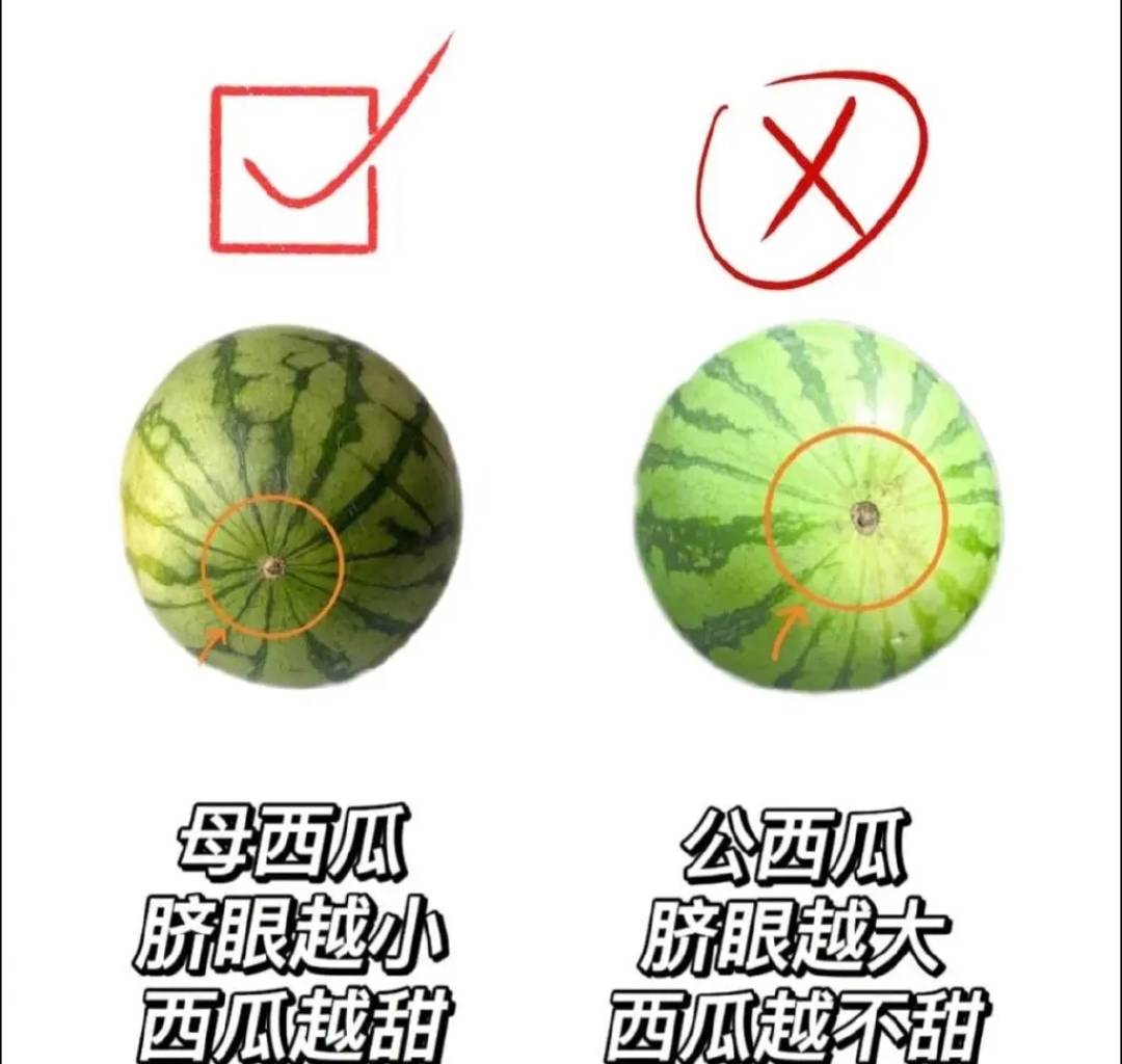 买西瓜时别再用手拍了老瓜农教你3招包你挑得皮薄水多又甜