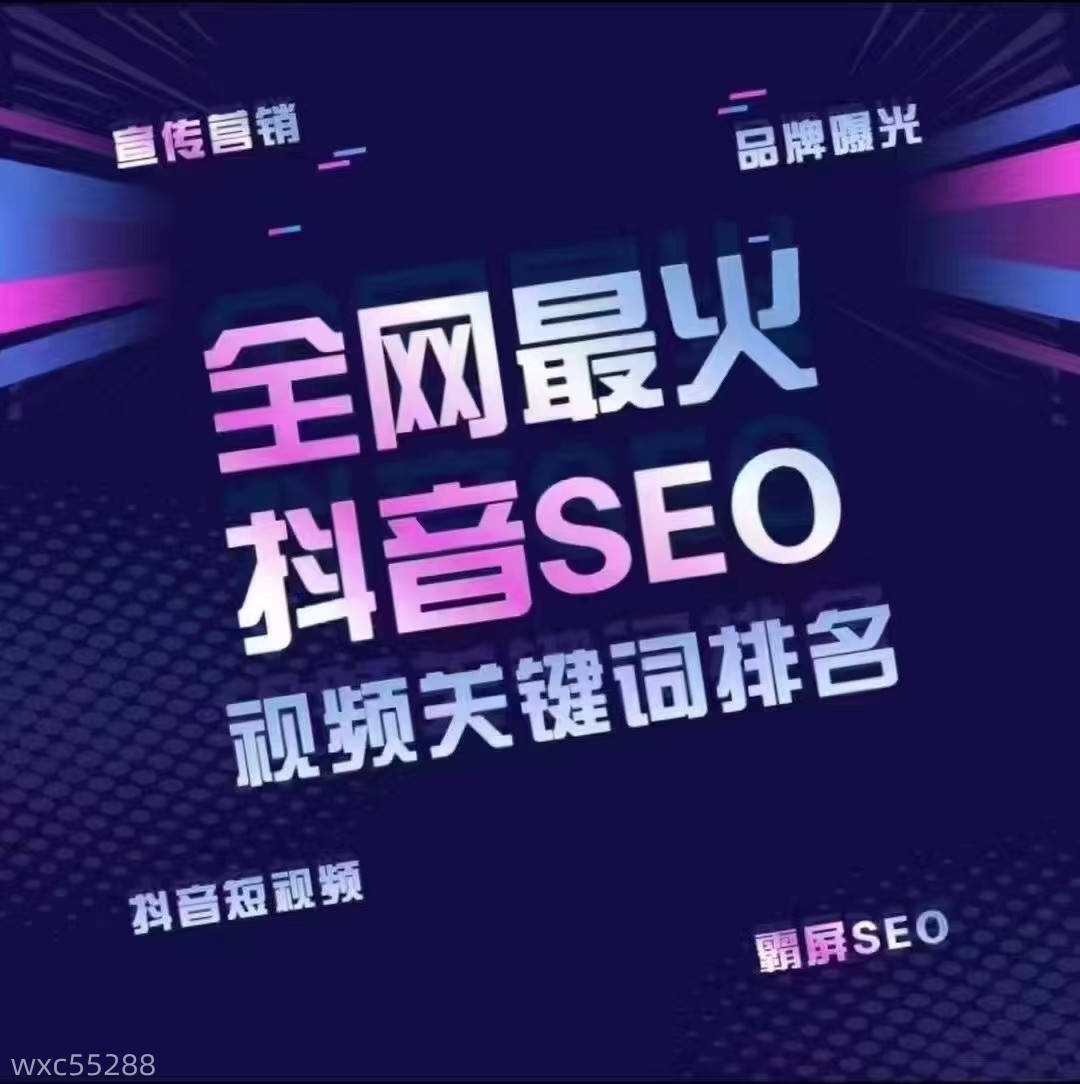 短视频询盘获客系统，dyseo搜索关键词排名优化