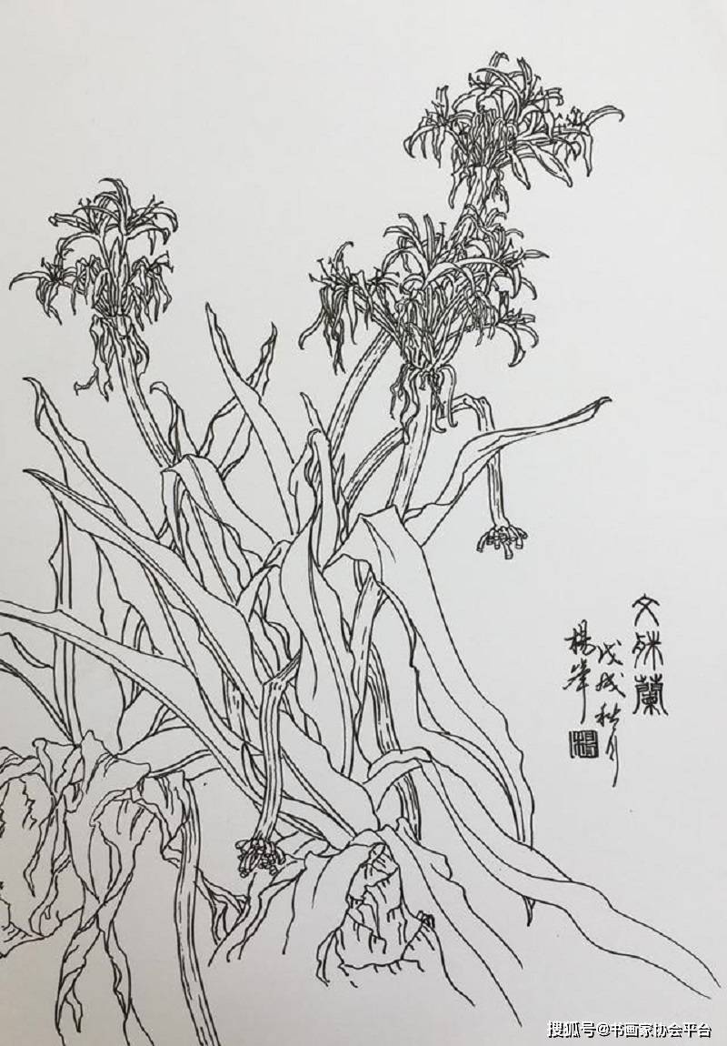 紅樓夢裡,同樣是柳絮,嫁與東風春不管,憑爾去,忍淹留這是林黛玉的