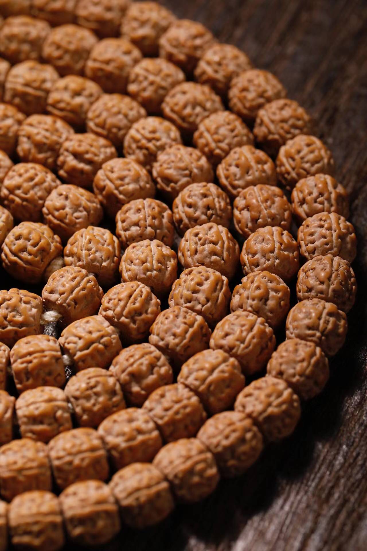 小金刚菩提算的上是经典文玩的代表,有多少人是通过金刚菩提籽入坑的