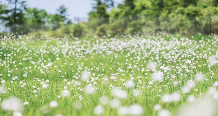 这2年的家电市场上，为何讲困难的比找机会的人多？-家电圈官网