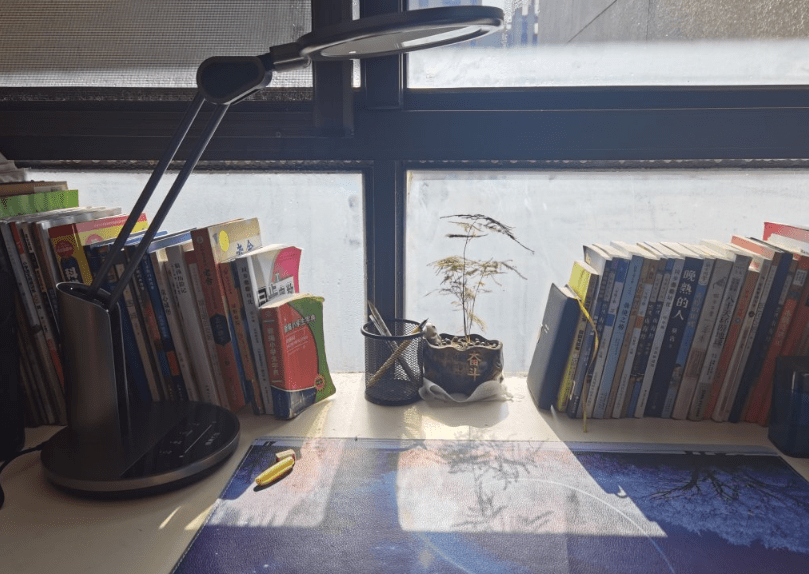 护眼灯哪个牌子更好更专业？2022年高品质护眼台灯推荐