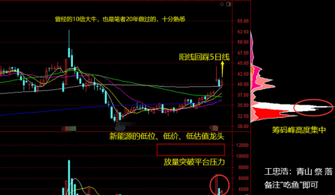 中国股市：精选10只低价低估值“龙头股”，收藏待翻倍！