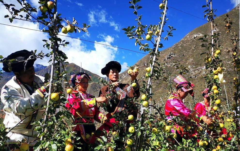 赤不苏镇党委书记陈良军介绍:"我们果蔬套种,实现了一亩土