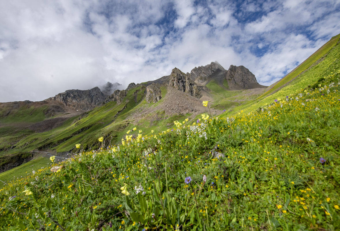 2022年7月20日,四川省阿坝州小金县汗牛旅游区迎来盛花季,山花烂漫