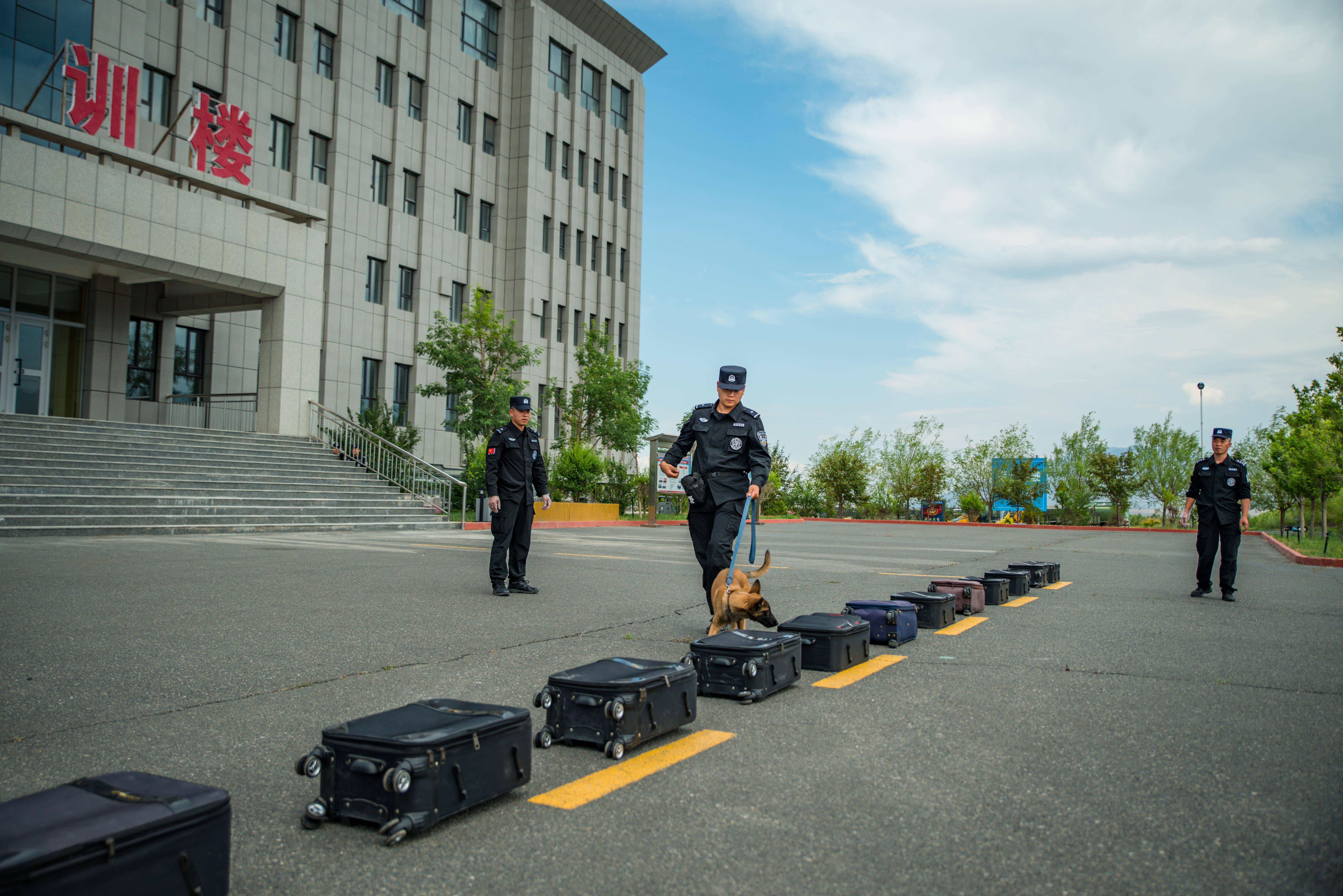 乌鲁木齐警犬训练基地正式揭牌