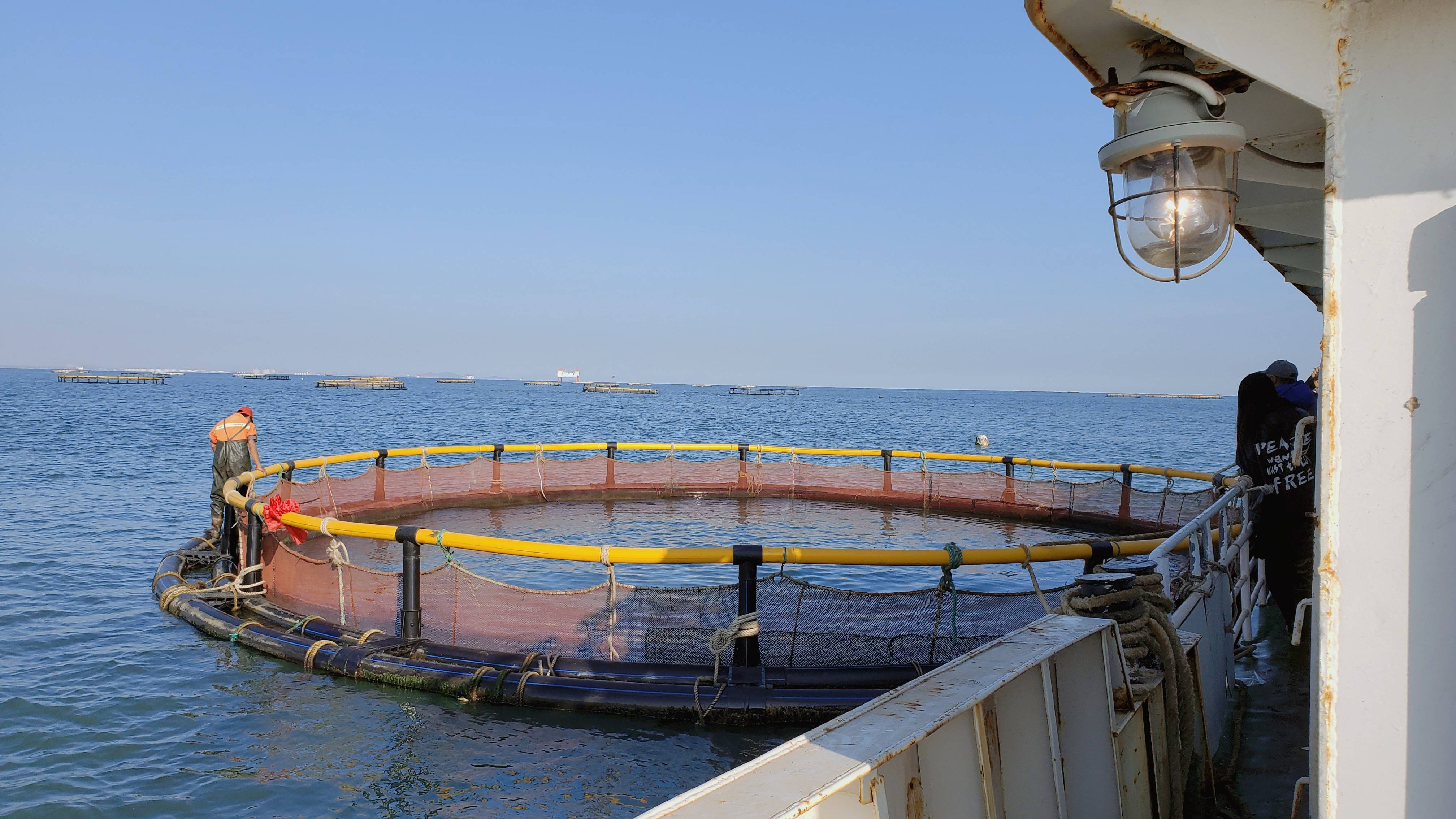 寻渔记带你了解深水抗风浪网箱养殖