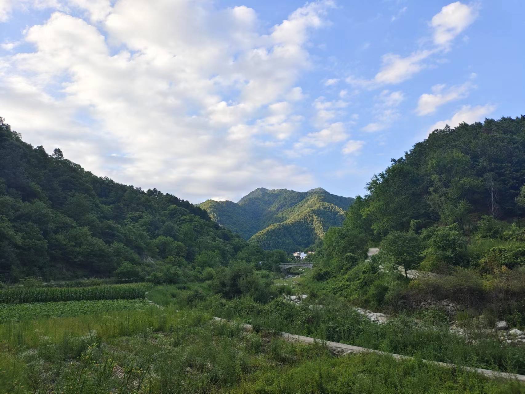 赴柞水两河村，拥抱青山绿水