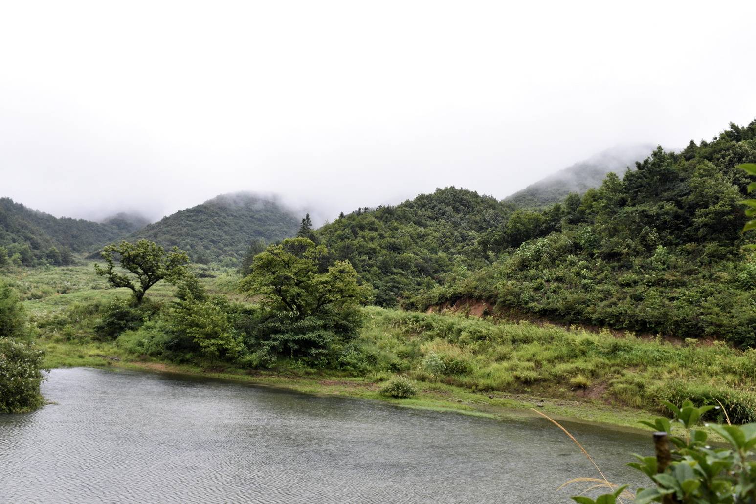 固始美麗村莊系列之齊山村_固始縣_省會鄭州市_大別山