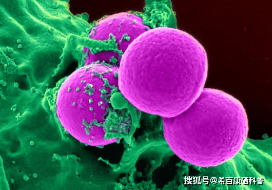 得了癌症，一般能活多久？做好这2点，这3种癌症的生存率将不断上升