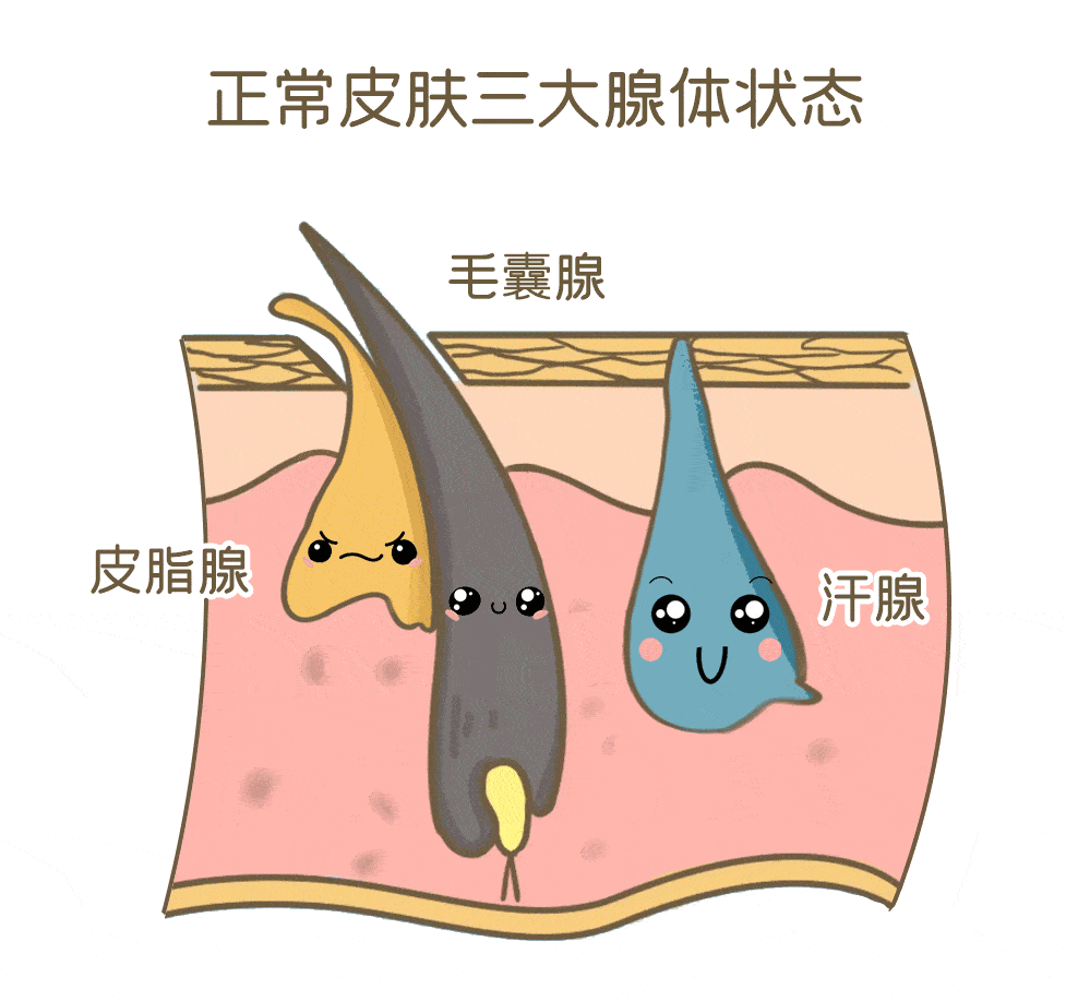 鱼鳞病皮肤能治愈吗?会随着年龄减轻吗_治疗_症状_患者