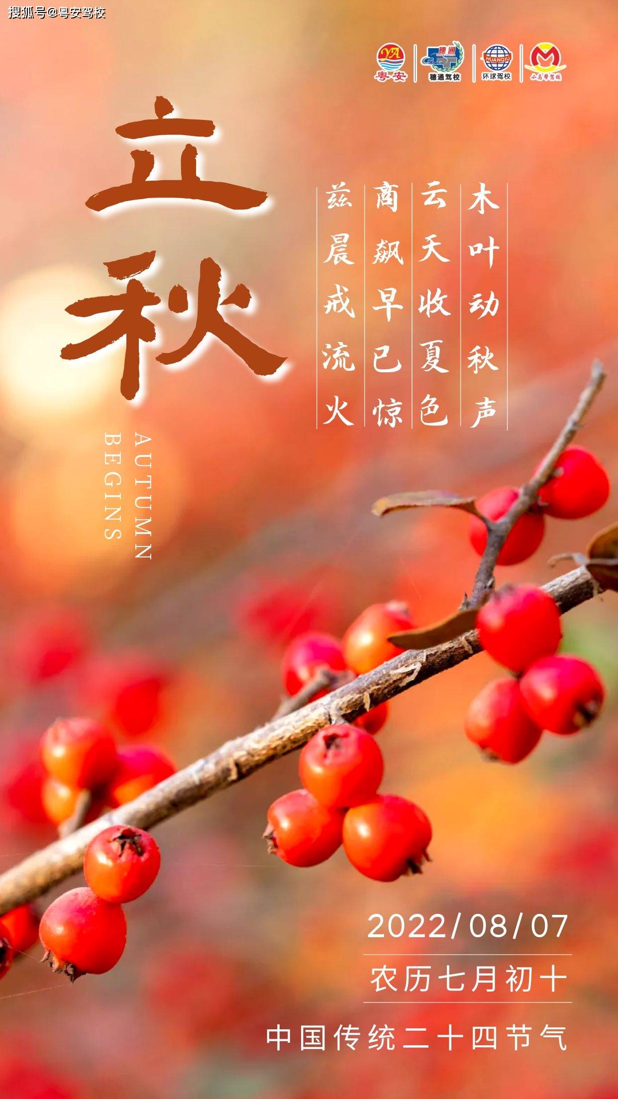 夏去秋来万物丰盛