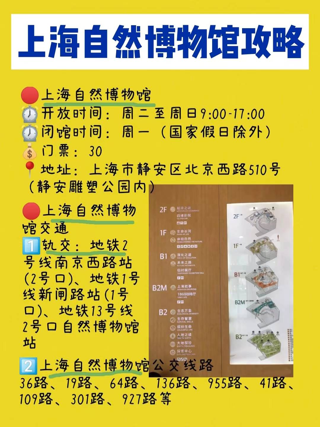 上海自然博物馆游玩攻略,上海自然博物馆行李寄存的地方_生命_地下