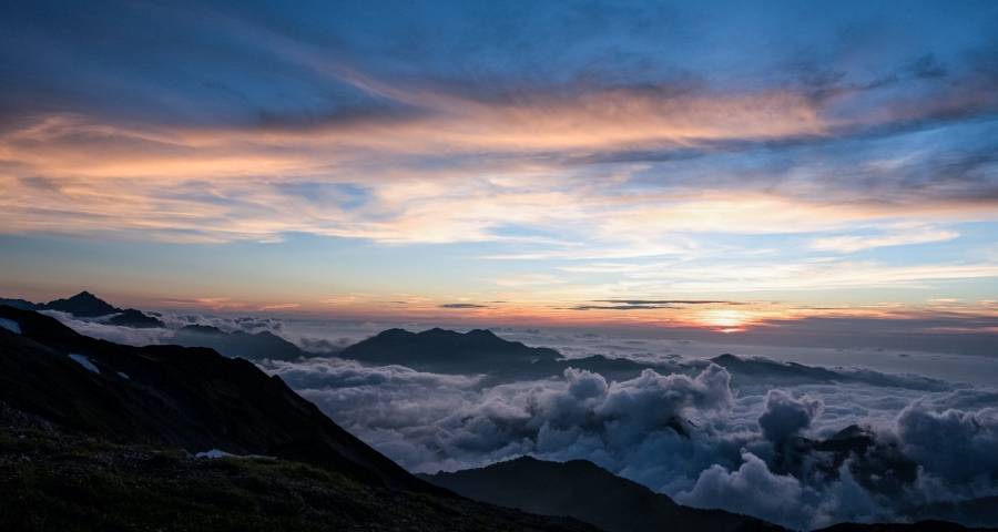 阿里试水家电自营业务，但喵速达电器难挑重担-家电圈官网