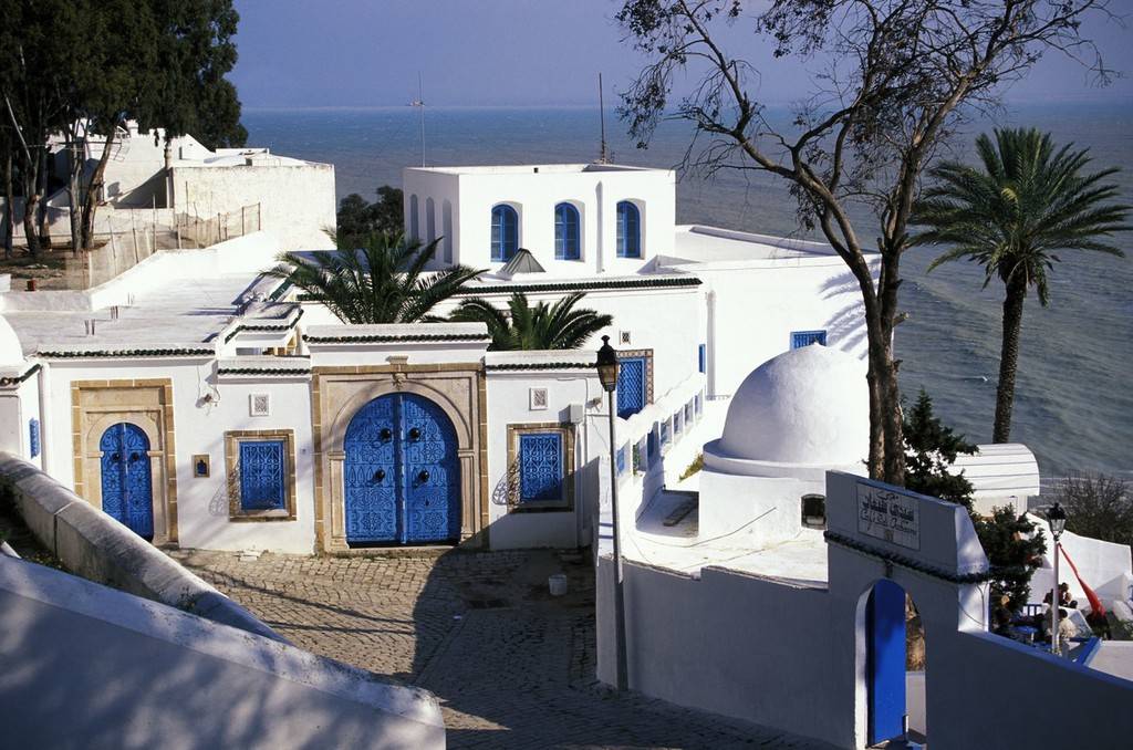 突尼斯蓝白小镇(突尼斯蓝白小镇简介)