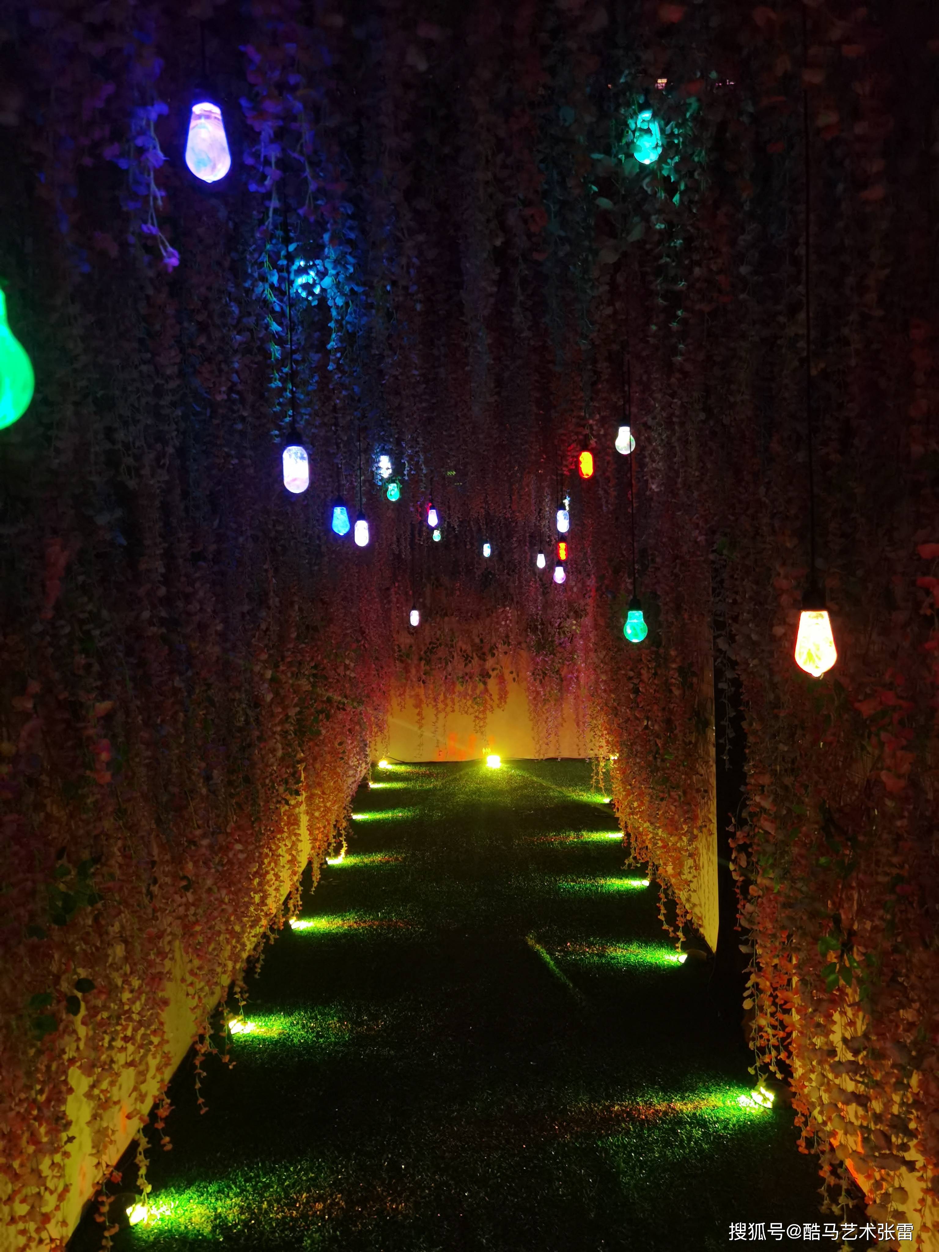星空光影艺术馆美图鉴赏-搜狐大视野-搜狐新闻