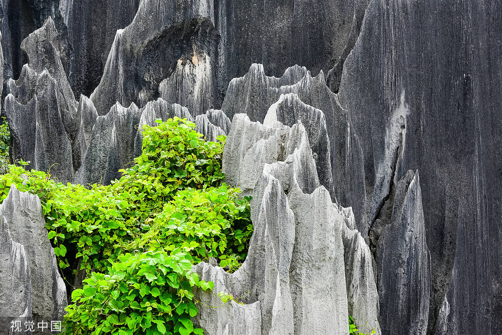 全球首批100个地质遗产地名录:中国七地入选-搜狐大视野-搜狐新闻