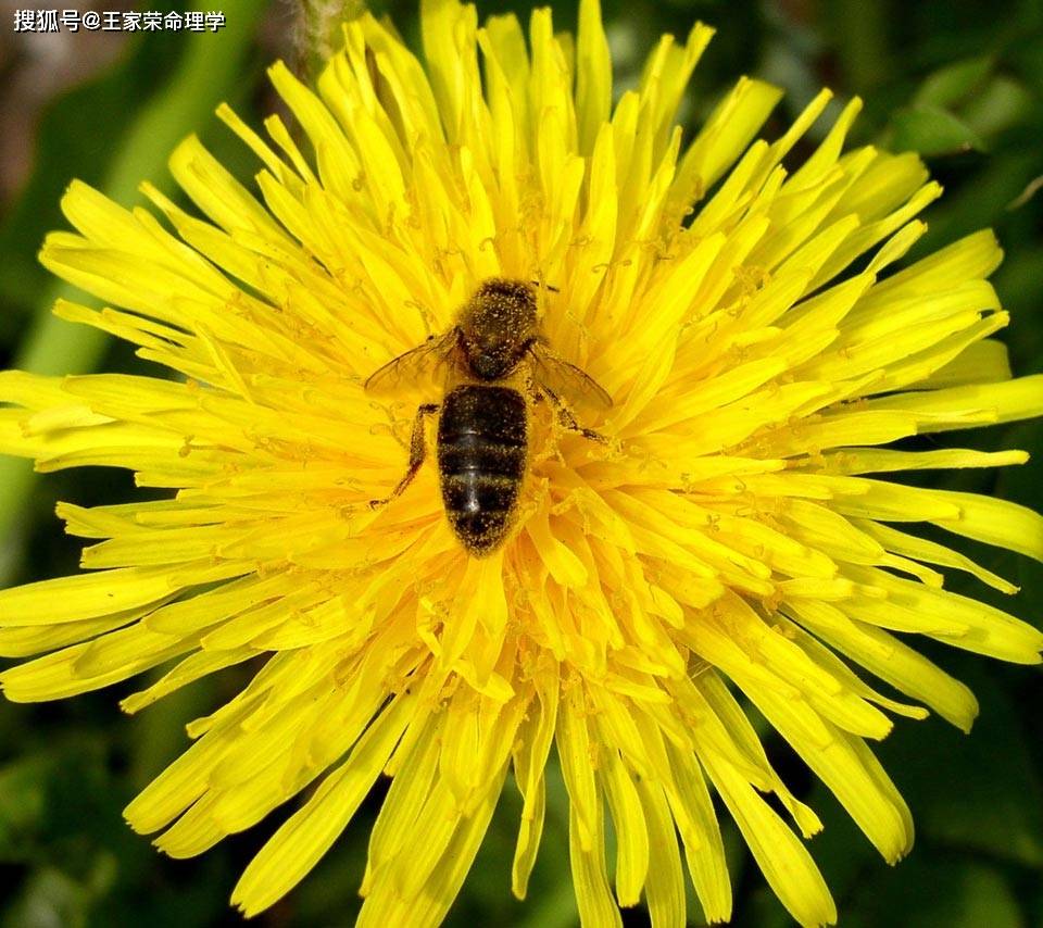 12星座查询运程每天运势22年12月25日星期天 工作 问题 对方