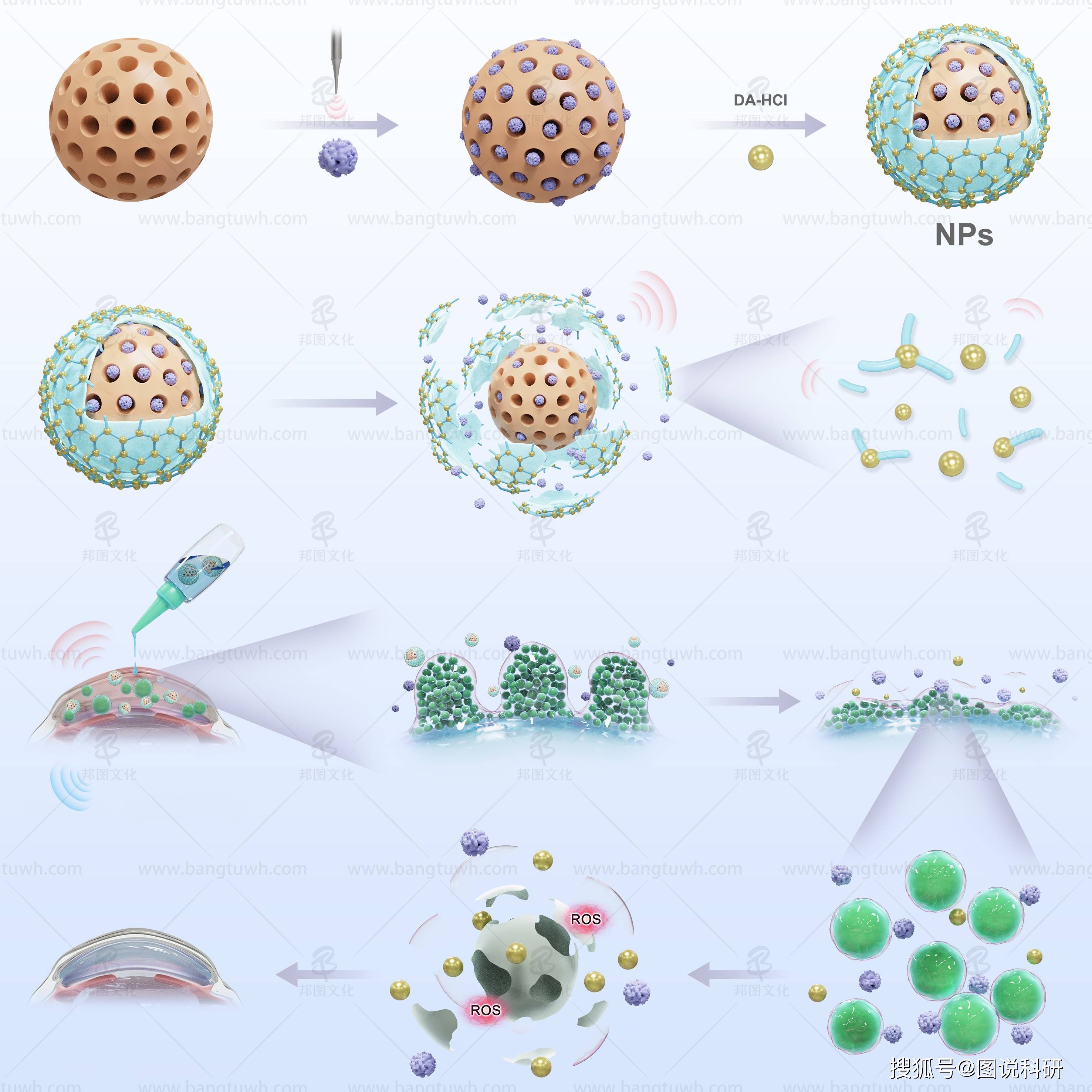 科研绘图 杂志封面设计作品 邦图公司_医学_示意图_插画