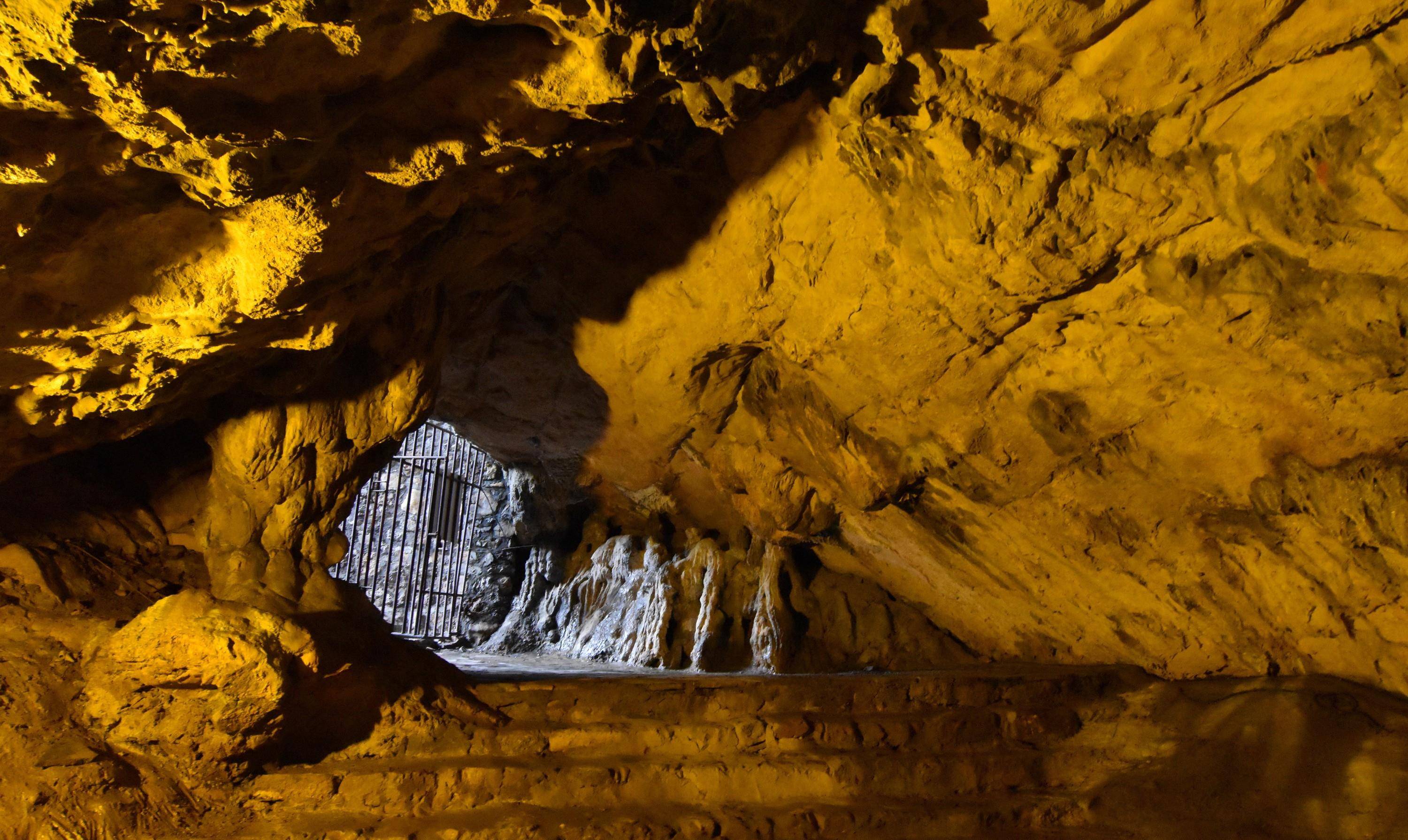 巢湖市银屏山仙人洞,千年牡丹生长于洞口岩石峭壁上_刘玉超