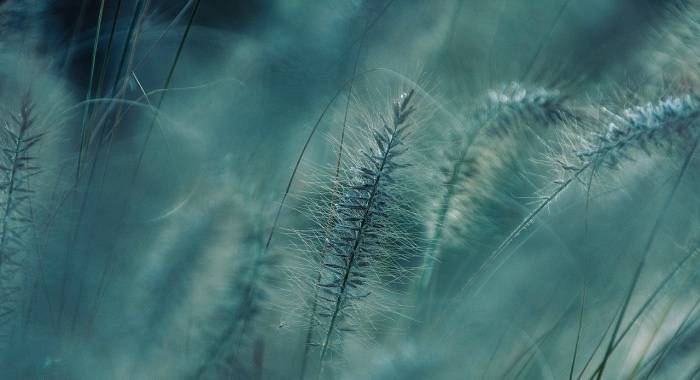 时隔20多年投资中国家电产业，松下又想干什么？-家电圈官网