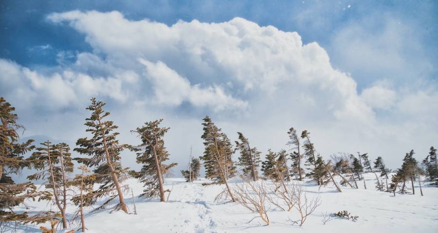 新能源车企集体降价抢市,家电企业会突袭效仿吗?-家电圈官网