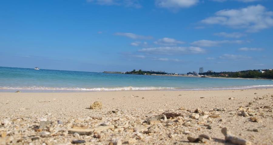 中外家电今年将火拼中国内需市场-家电圈官网