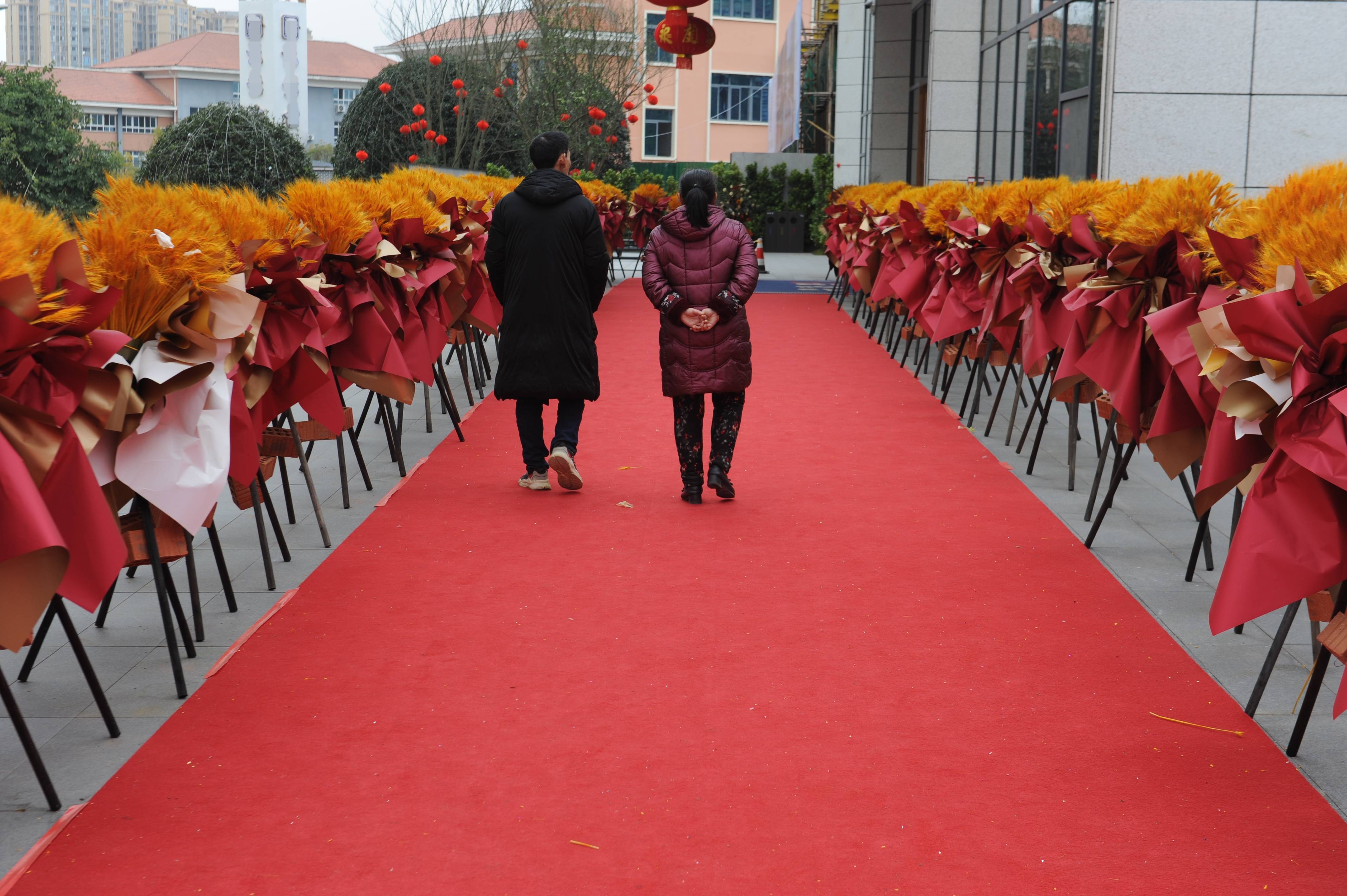 李文全随拍:日子凯旋,岁月麦浪掩映心情的红地毯