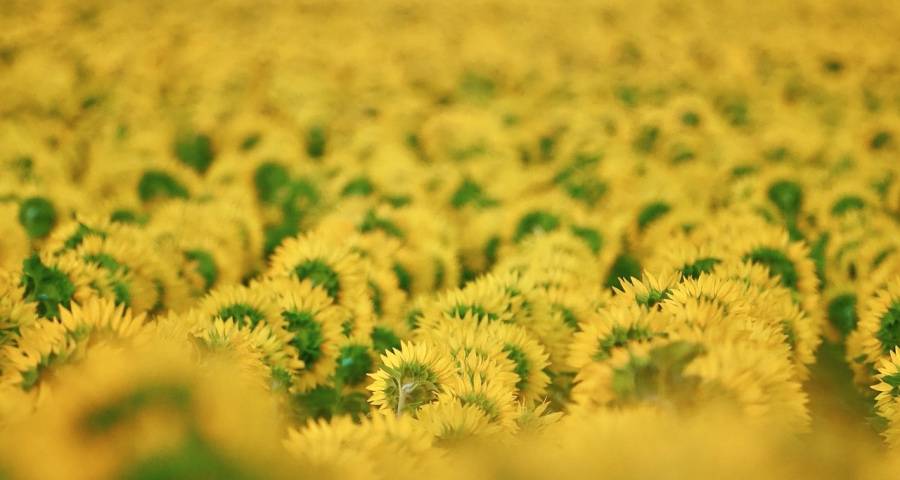 家电企业内心清楚：用户抢不来，要靠自己养！-家电圈官网