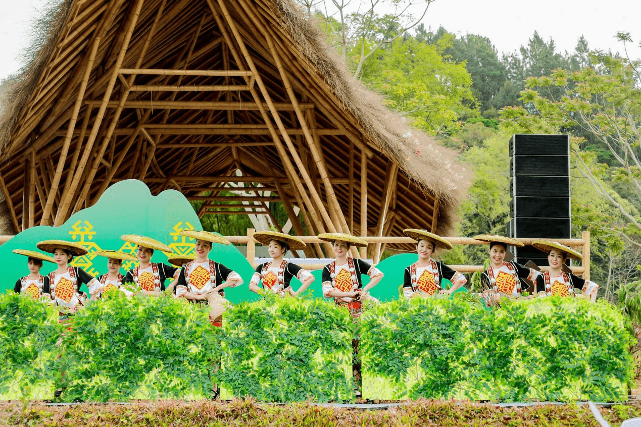 五指山市孙菁图片