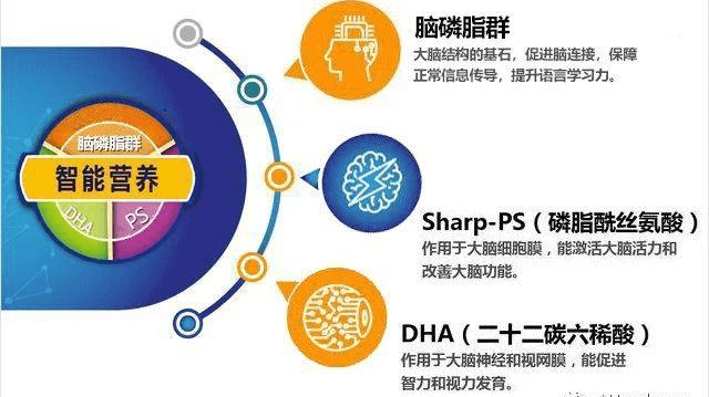 3种必备营养素一,脑磷脂群脑磷脂群直接作用于大脑学习功能,在脑连接