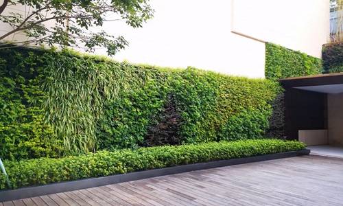 广州植物墙厂家哪家好?推荐广东绿大师_定制_的设计_客户