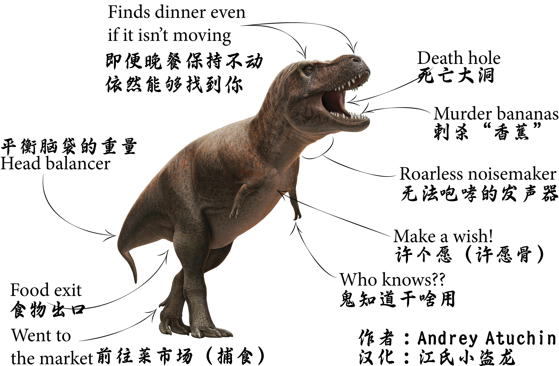 恐龙无处不有的结构图图片