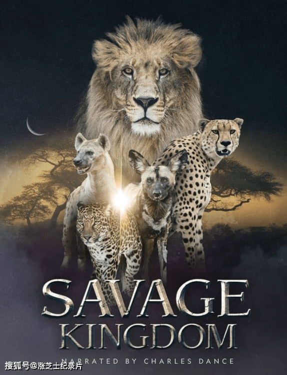 【049】国家地理《野蛮王国 Savage Kingdom 2016-2022》第1-4季全22集 英语外挂中字 官方纯净版 1080P/MP4/82.8G 动物间的权力游戏