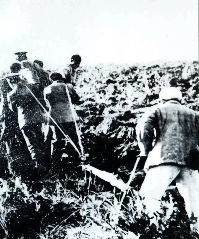 的帮助下,余友清率领的垦荒队在虎林建立了第一个军垦农场---850农场