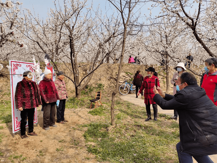 禮泉縣將舉辦春暖幸花開·福迎健康來賞花季系列活動_旅遊_地點