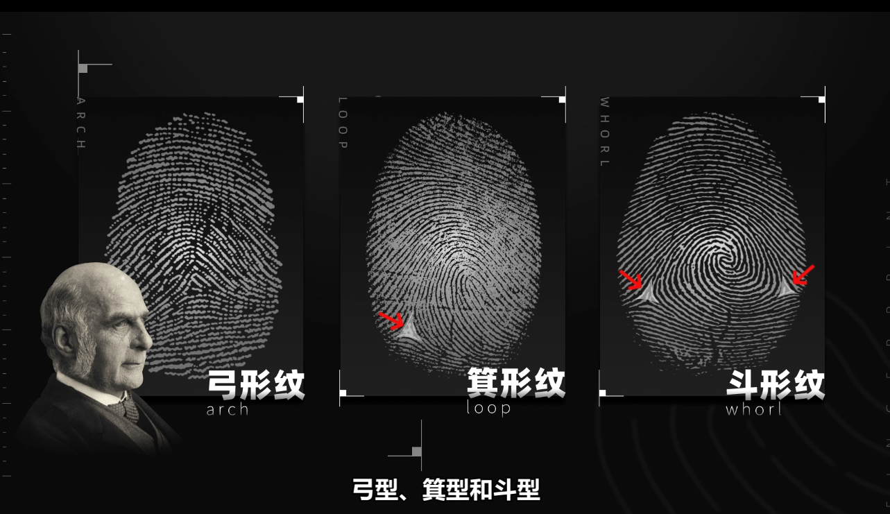 指纹的秘密:手上有斗不稀奇 这种最小众