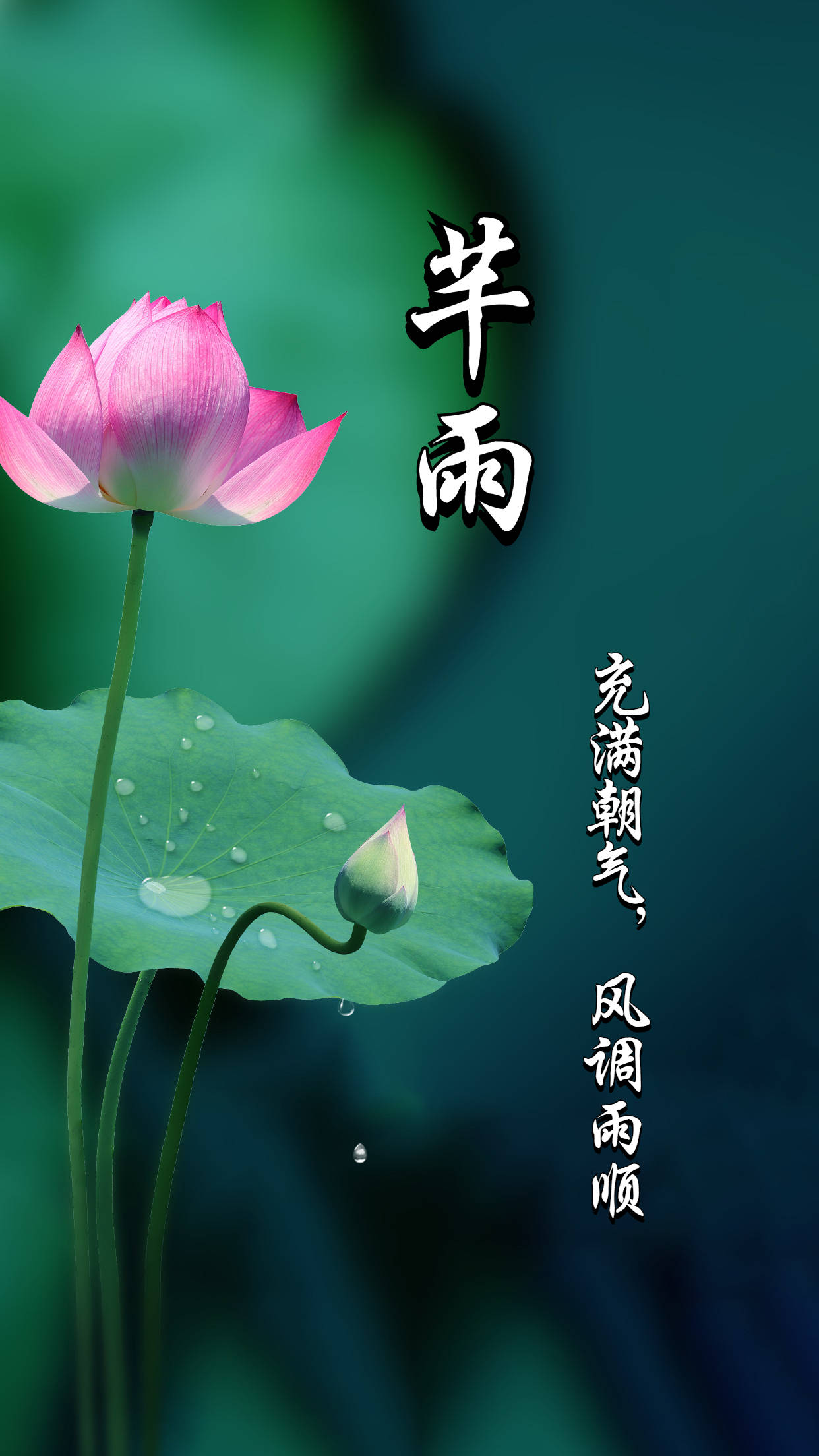 2024龙年听过最惊艳的杨姓男生名字_男孩_五行_读音