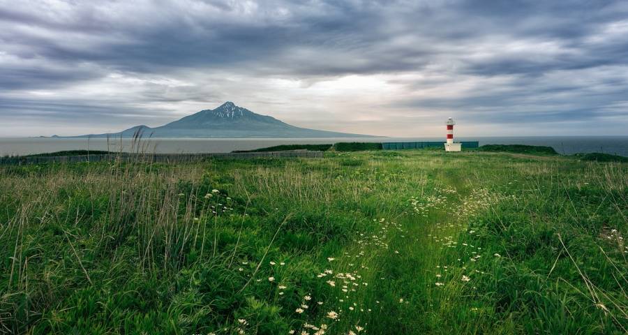 超高清电视发力，海尔美的长虹市场领跑京东苏宁奥马美博冲刺加速-家电圈官网