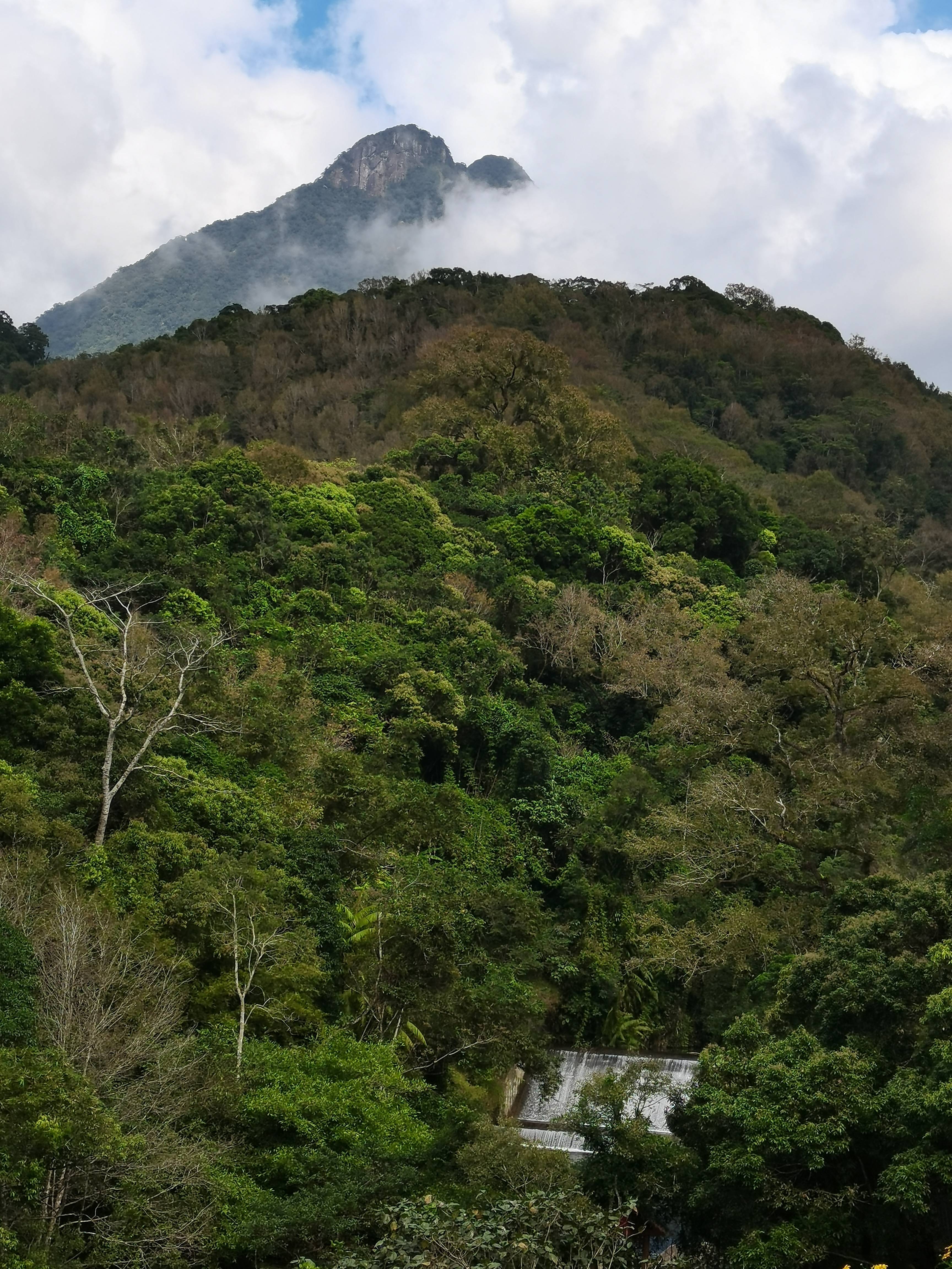 五指山热带雨林景区图片
