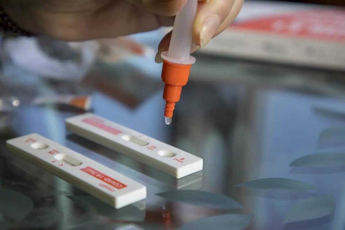 纳米金溶液粉体胶体金抗原检测,用于工业催化,生物着色,dna分析,美白