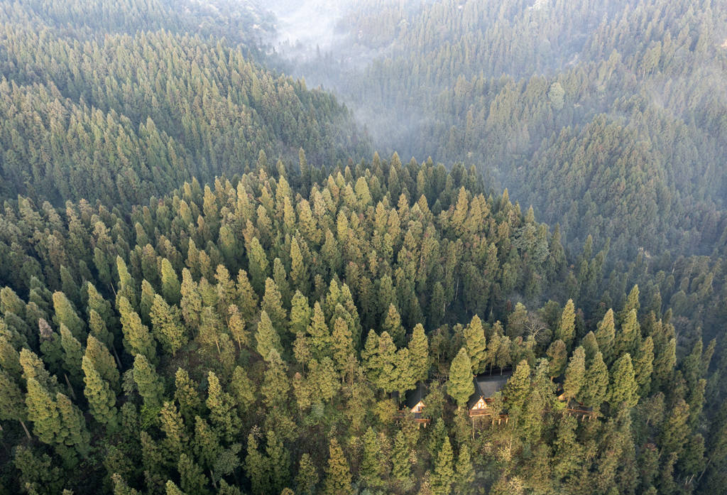 四川洪雅:玉屏山云蒸霞蔚美如画_林海_柳杉_森林