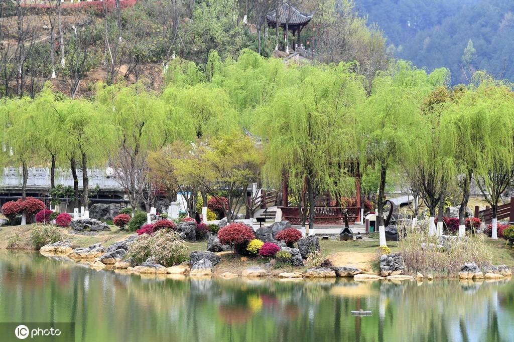 草长莺飞三月天 贵州仁怀市民踏青游玩正当时-搜狐大视野-搜狐新闻