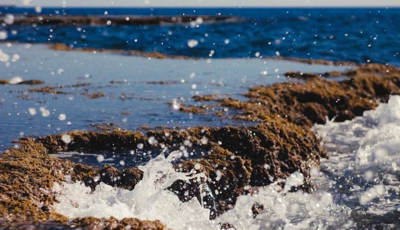 高管团队换血官宣品牌代言，帅康厨电今年还有机会吗？-家电圈官网