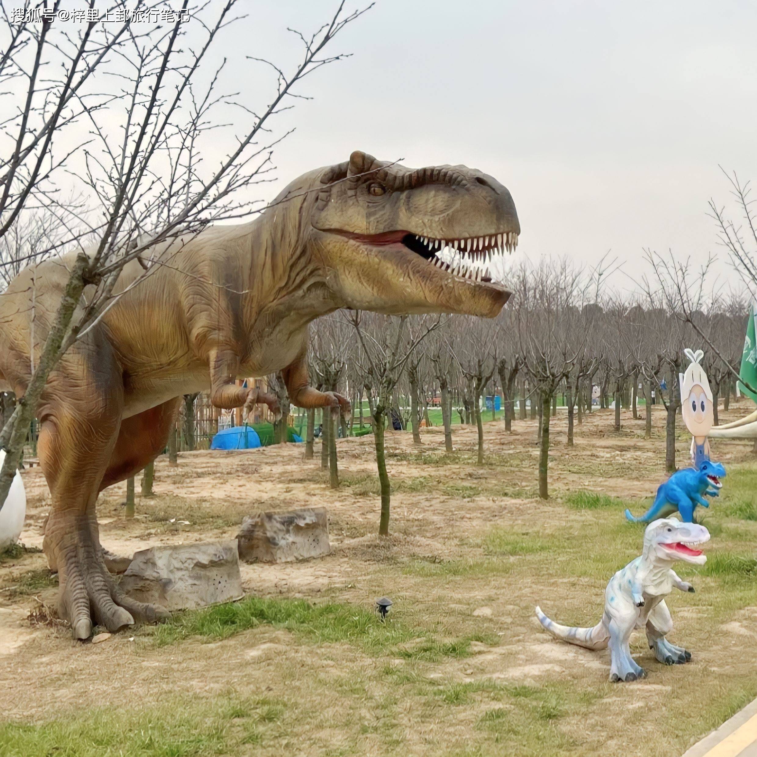 此行,让我对南京森林大世界的印象十分深刻,这里不仅是一个旅游胜地